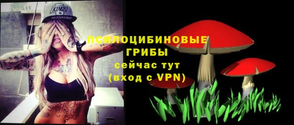 ГАЛЛЮЦИНОГЕННЫЕ ГРИБЫ Армянск