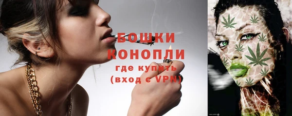 ГАЛЛЮЦИНОГЕННЫЕ ГРИБЫ Армянск