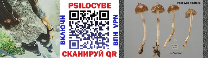 Галлюциногенные грибы ЛСД  Талица 